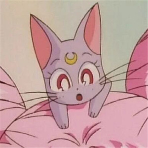 成人国产射精AV
