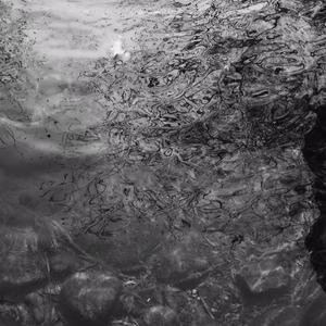 成人国产射精AV
